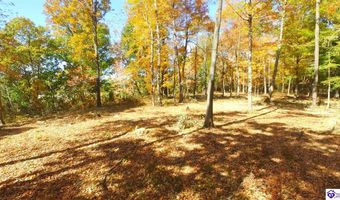 1647 Boone Hollow Rd, Battletown, KY 40104