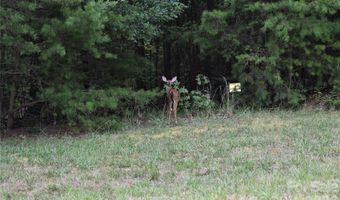 178 Kingfisher Ct 29, Badin Lake, NC 28127