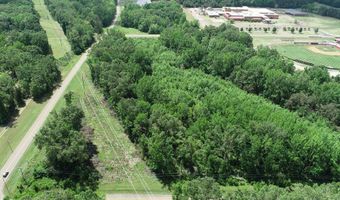 Tiger Drive, Batesville, MS 38606