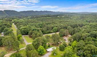 811 Leeth Gap Rd, Attalla, AL 35954