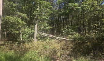 Ute Trail, Albrightsville, PA 18210