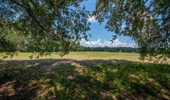 000 Griffin St, Bainbridge, GA 39817
