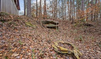 7769 Willow Grove Hwy, Allons, TN 38541