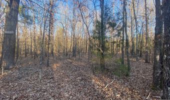 TBD CR 4507, De Kalb, TX 75559