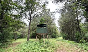 3 County Road 5112, Ethel, MS 38829
