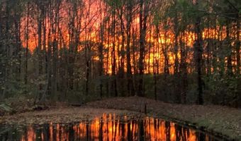 3592 AIRPORT Rd, Altoona, AL 35121