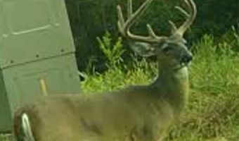 001 CR 532, Avalon, MS 38917
