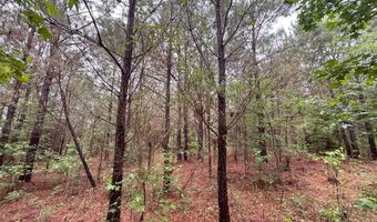 0 Pebble Cove Rd, Abbeville, AL 36310