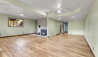 64 Elk Horn Ct, Bailey, CO 80421