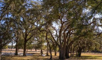 1720 SW 22nd Pl, Bell, FL 32619