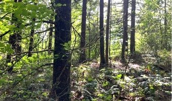 Nowakowski Rd, Banks, OR 97106