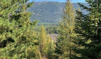 Tract 6 USFS 2294, Clark Fork, ID 83811
