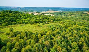 21814 State Hwy 248, Aurora, MO 65605