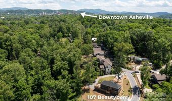 107 Beautyberry Dr, Asheville, NC 28801