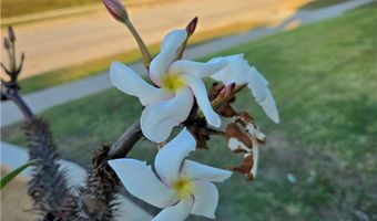 2022 W 75th St, Los Angeles, CA 90047