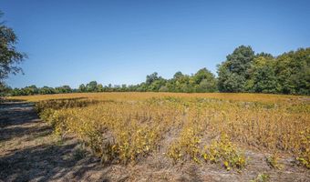 7 Acres Snake Rd, Athens, AL 35611