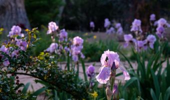 927 CAMINO VISTA RIO, Bernalillo, NM 87004