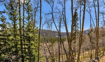 270 Co Rd 667 Lot 0, Alma, CO 80440