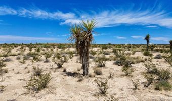 70 Bad Bunny Rd, Alpine, TX 79830