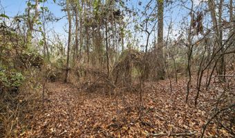 868 County Road 2920, Alba, TX 75410