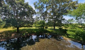 County Road 113, Alton, MO 65606