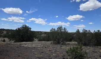 165 Off Old Hwy 66, Ash Fork, AZ 86320