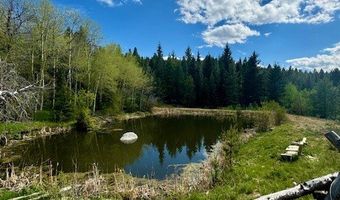 NHN Perkins Gulch Road, Anaconda, MT 59711
