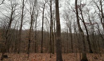 TBD1 E Willow Rd, Bloomfield, IN 47424