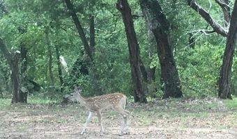 831 County Road 2200, Aquilla, TX 76622