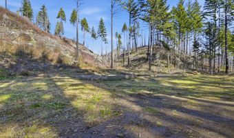 53189 MCKENZIE Hwy, Blue River, OR 97413