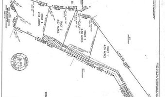 1089 Damascus Dr, Ball Ground, GA 30107