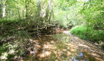 TBA BETTYS BRANCH RD X, Arvonia, VA 23004