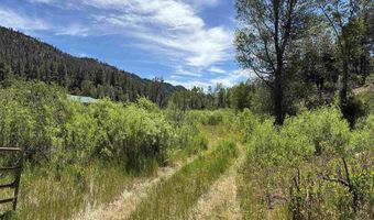 3230 Bear Creek Rd, Bayfield, CO 81122