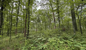 Tract 1 E Bay Road, Atkins, AR 72823