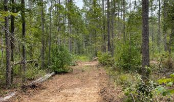 00 Pisgah Rd 2, Brandon, MS 39047