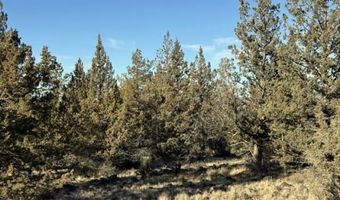 Canvasback Drive, Bonanza, OR 97623