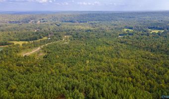 10675 29 Acres Shoal Creek Rd, Ashville, AL 35953