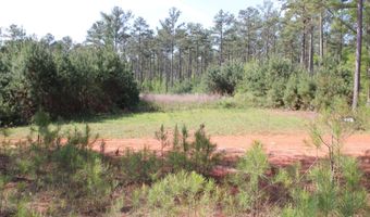 Ruffner Road 00, Barnesville, GA 30204