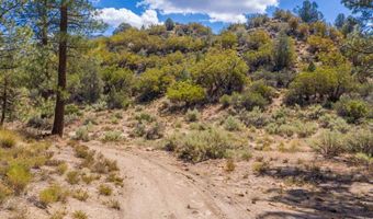 60833 Table Mountain Rd, Mountain Center, CA 92561