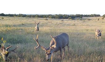 84521 County Road 40.2 Hidden Gem at Poitry Canyon, Branson, CO 81027