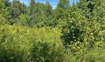 9 AC Lily Dale Rd, Allons, TN 38541