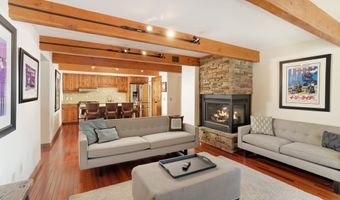 630 E Cooper Ave 1, Aspen, CO 81611