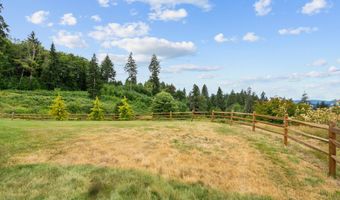 14907 NE 403RD St, Amboy, WA 98601