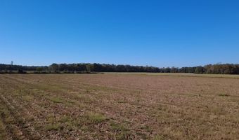 0 Bar M Farm Rd, Andalusia, AL 36421