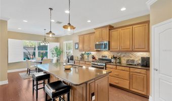 6420 SEASOUND Dr, Apollo Beach, FL 33572