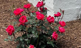 7308 HIGH BRIDGE Rd, Bowie, MD 20720