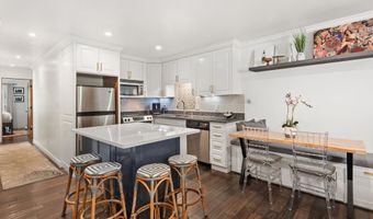 100 E Dean St 2D, Aspen, CO 81611