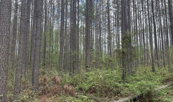 Hester Road, Ackerman, MS 39735