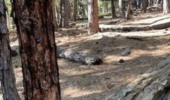758 Yuroc Dr, Arnold, CA 95223