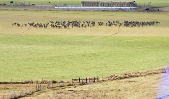 24950 Hwy. 93, Challis, ID 83226